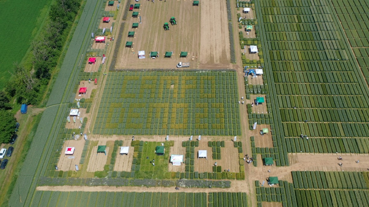 Il Campo Demo Cereali 2023 visto dal drone